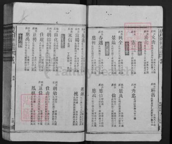 湖南省邵阳市隆回县新田唐氏族谱-唐氏合修通谱.pdf电子版预览图2