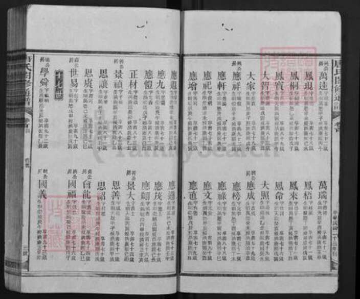 湖南省邵阳市隆回县新田唐氏族谱-唐氏合修通谱.pdf电子版预览图3