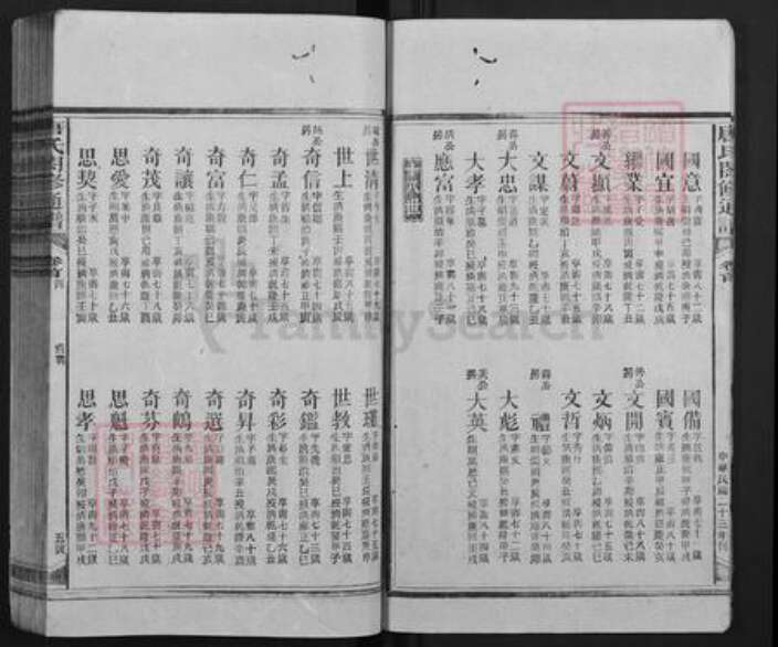 湖南省邵阳市隆回县新田唐氏族谱-唐氏合修通谱.pdf电子版预览图5