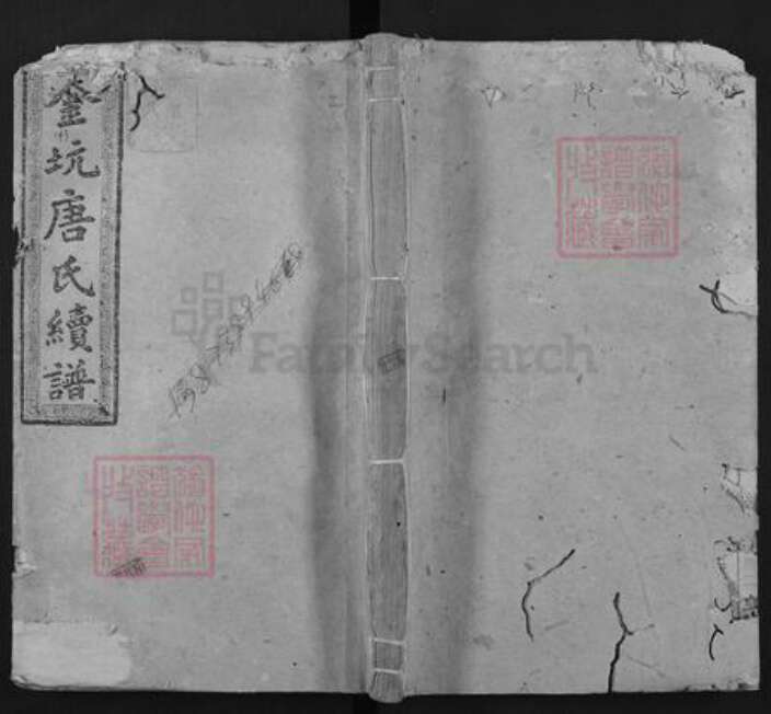 江西省赣州市崇义县金坑乡唐氏敦睦堂族谱-阜江金坑唐氏续谱.pdf电子版缩略图