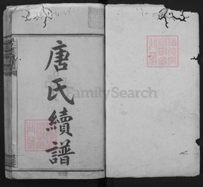 江西省赣州市崇义县金坑乡唐氏敦睦堂族谱-阜江金坑唐氏续谱.pdf电子版预览图1