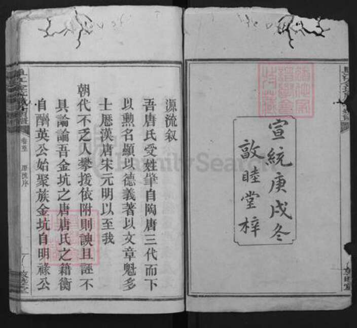 江西省赣州市崇义县金坑乡唐氏敦睦堂族谱-阜江金坑唐氏续谱.pdf电子版预览图2