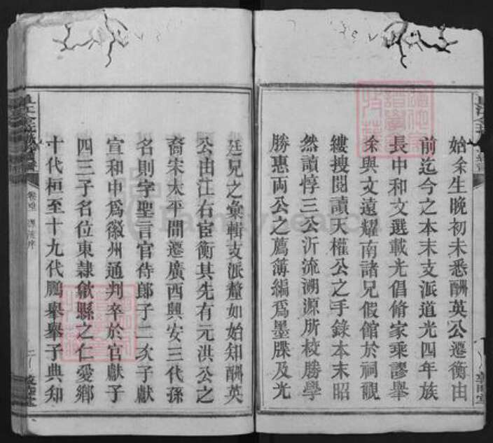 江西省赣州市崇义县金坑乡唐氏敦睦堂族谱-阜江金坑唐氏续谱.pdf电子版预览图3