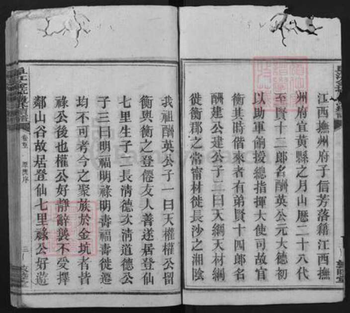 江西省赣州市崇义县金坑乡唐氏敦睦堂族谱-阜江金坑唐氏续谱.pdf电子版预览图4