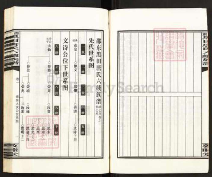 湖南省邵阳市邵东市唐氏敦睦堂族谱-邵东黑田唐氏六续族谱.pdf电子版预览图4