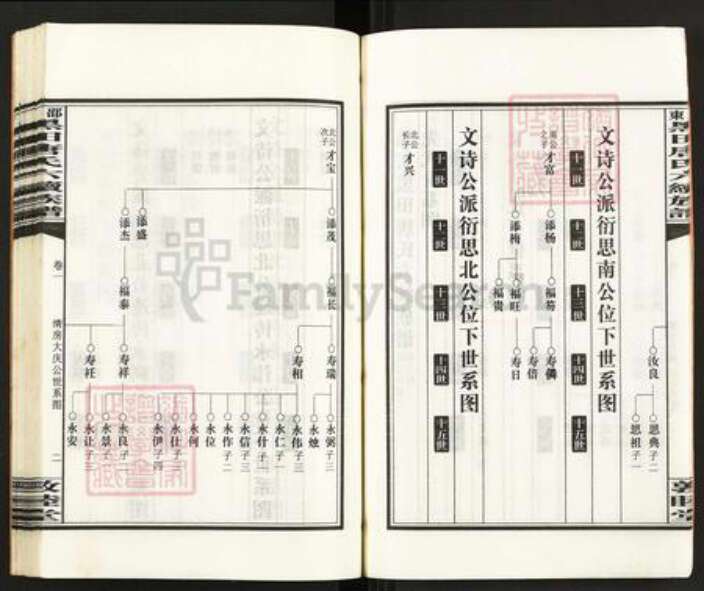 湖南省邵阳市邵东市唐氏敦睦堂族谱-邵东黑田唐氏六续族谱.pdf电子版预览图5