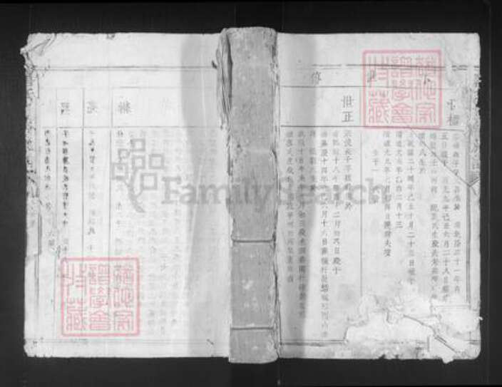 江西省赣州市宁都县洛口镇唐氏族谱-唐氏重修族谱.pdf电子版缩略图