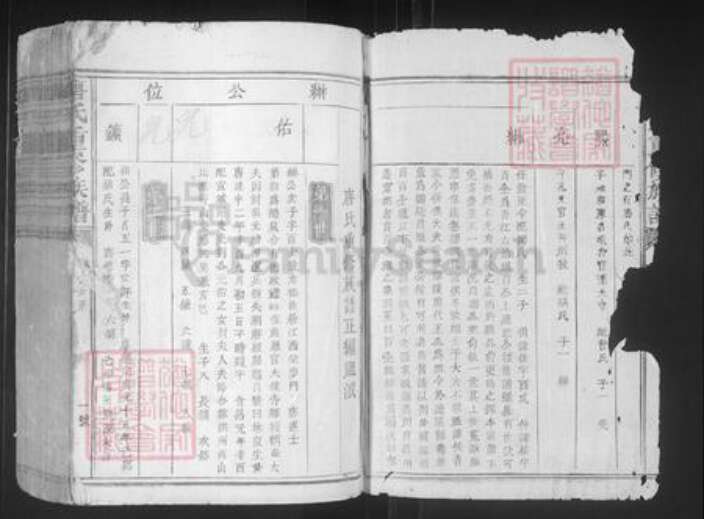 江西省赣州市宁都县洛口镇唐氏族谱-唐氏重修族谱.pdf电子版预览图1