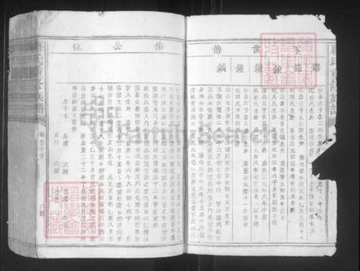 江西省赣州市宁都县洛口镇唐氏族谱-唐氏重修族谱.pdf电子版预览图2