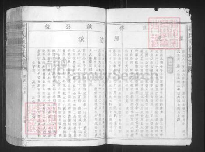 江西省赣州市宁都县洛口镇唐氏族谱-唐氏重修族谱.pdf电子版预览图3