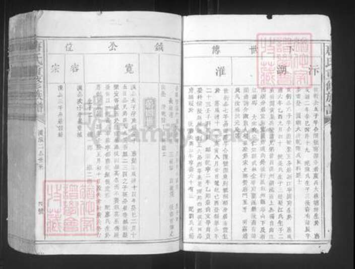 江西省赣州市宁都县洛口镇唐氏族谱-唐氏重修族谱.pdf电子版预览图4