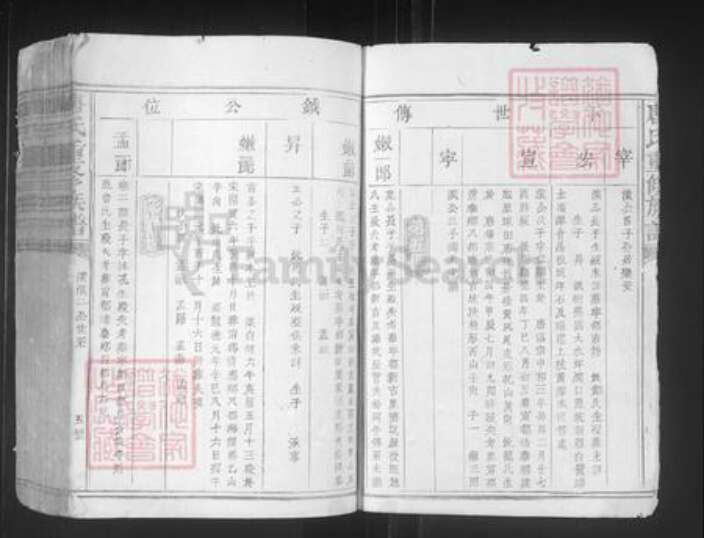 江西省赣州市宁都县洛口镇唐氏族谱-唐氏重修族谱.pdf电子版预览图5