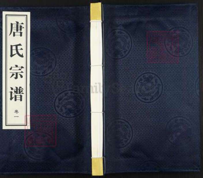 江苏省常州市武进县雪堰镇唐氏三余堂族谱-唐氏宗谱.pdf电子版缩略图