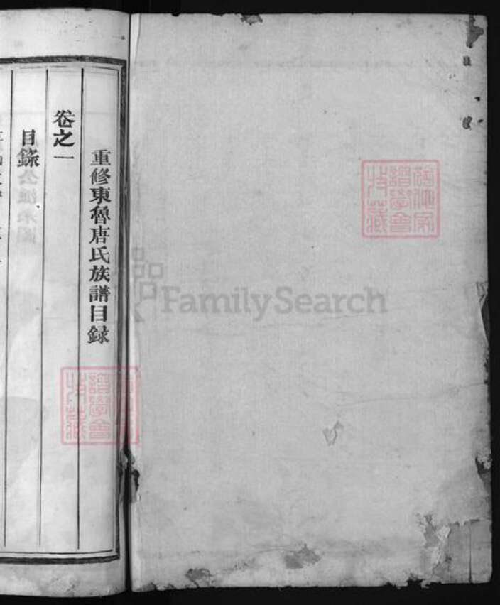 浙江省唐氏族谱-东鲁唐氏族谱 [5卷].pdf电子版预览图1