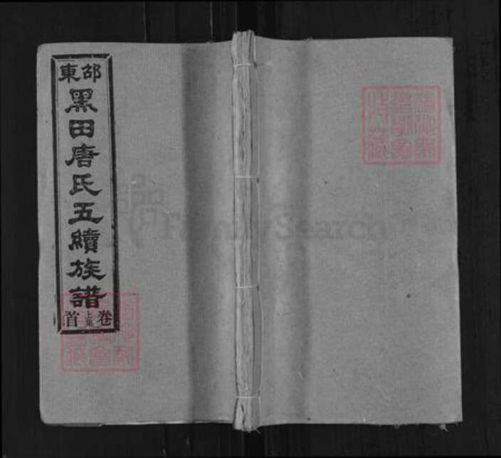 湖南省邵阳市邵东市唐氏敦睦堂族谱-邵东黑田唐氏五续族谱.pdf电子版缩略图