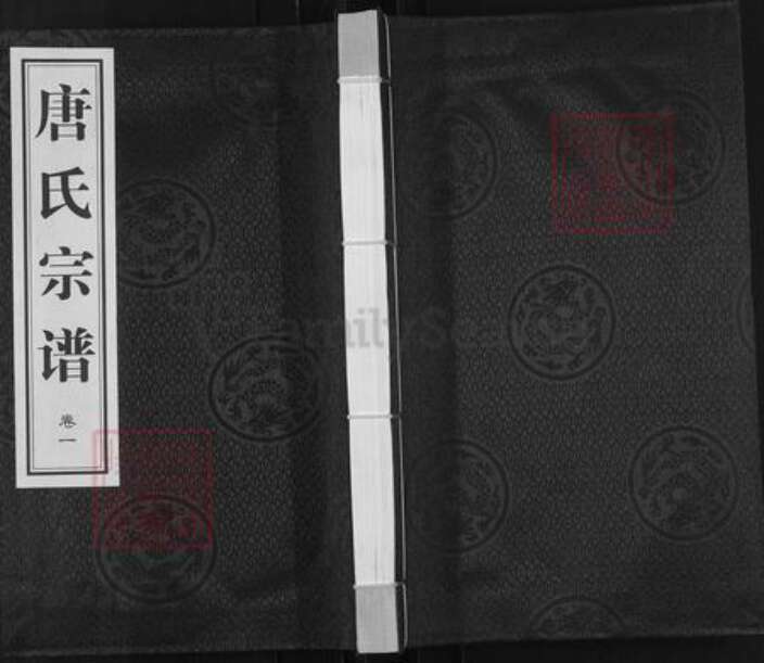 江苏省镇江市丹阳市唐氏三余堂族谱-唐氏宗谱.pdf电子版缩略图