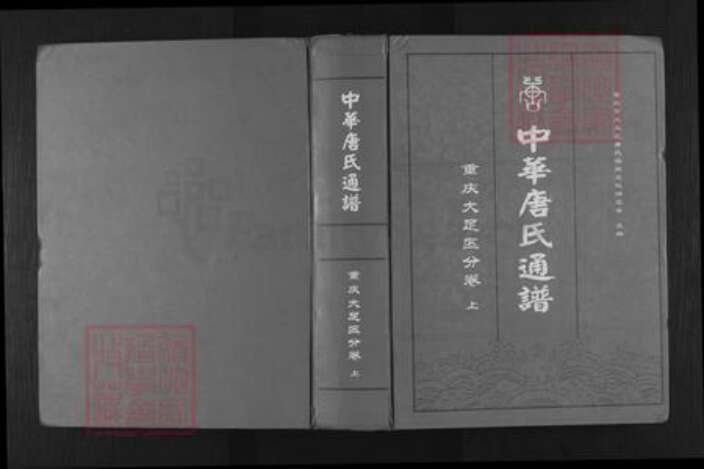 重庆市大足区唐氏族谱-中华唐氏通谱.pdf电子版缩略图