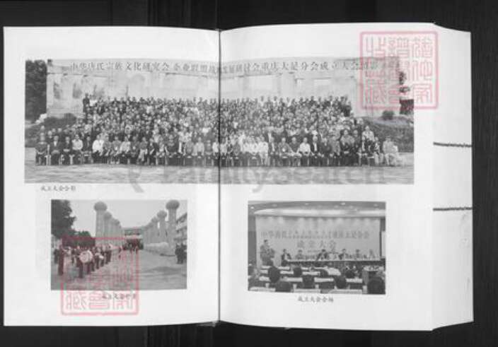 重庆市大足区唐氏族谱-中华唐氏通谱.pdf电子版预览图4