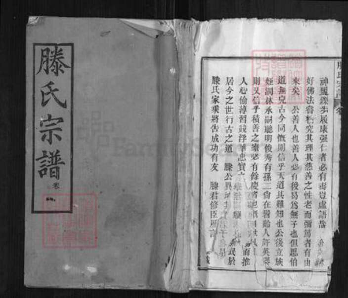 湖北省黄冈市滕氏忠直堂族谱-滕氏宗谱.pdf电子版缩略图