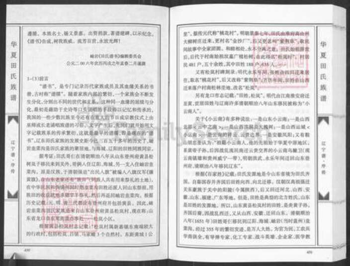 山东省田氏紫荆堂族谱-华夏田氏族谱.pdf电子版预览图2