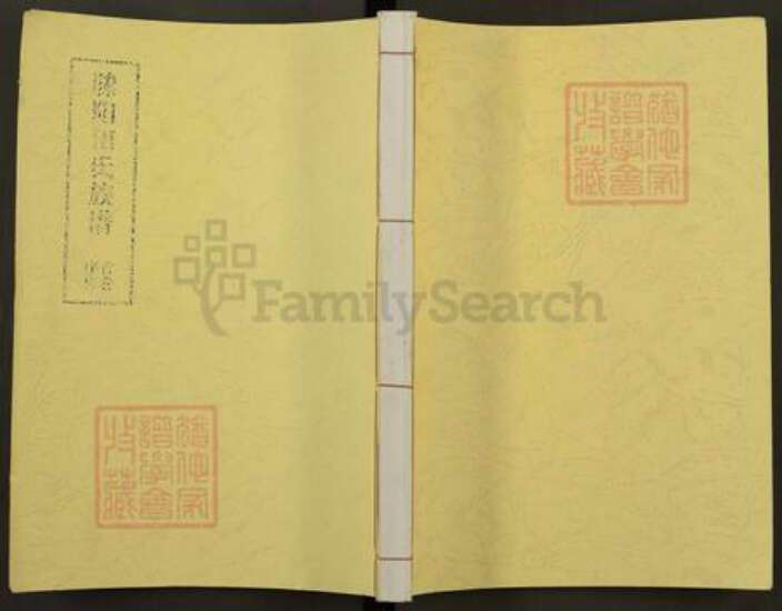 山东省枣庄市滕州市田氏族谱-滕阳田氏族谱.pdf电子版缩略图