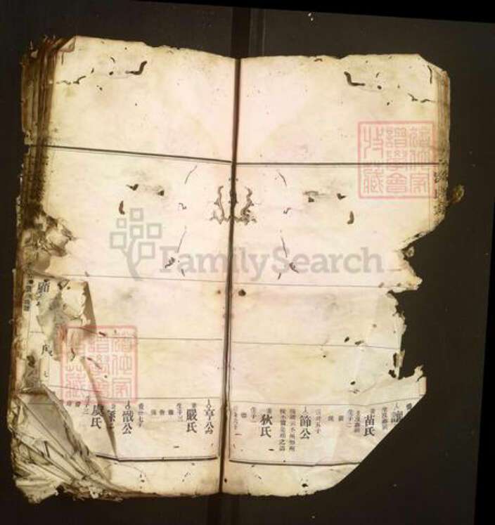 江西省抚州市宜黄县涂氏族谱-涂氏四修宗谱.pdf电子版预览图2