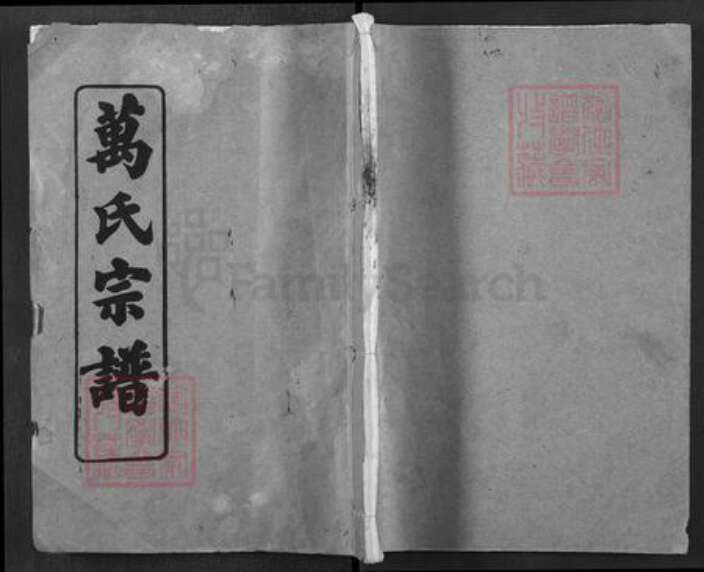 湖北省黄冈市浠水县巴河镇万氏孝友堂族谱-万氏宗谱.pdf电子版缩略图