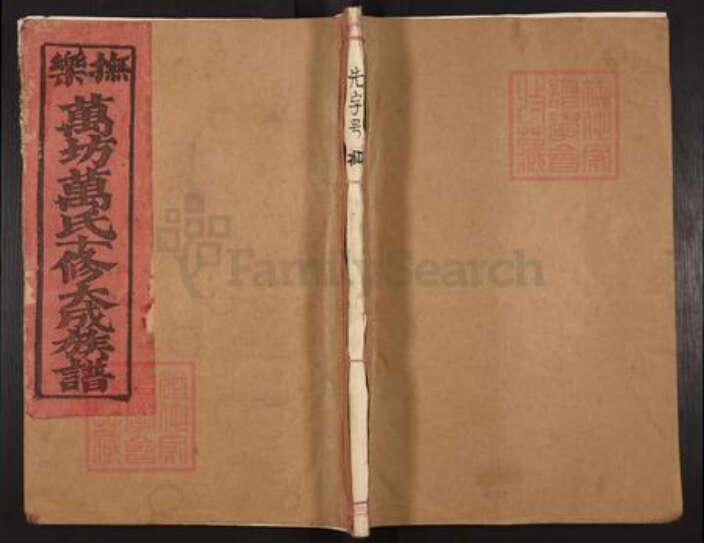 江西省抚州市乐安县万崇镇万氏族谱-抚乐万坊万氏十修大成族谱.pdf电子版缩略图