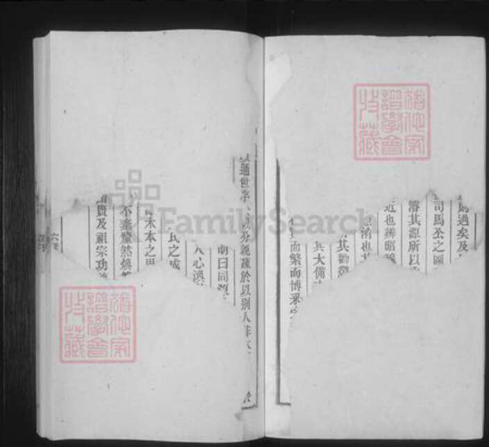 安徽省安庆市桐城市汪氏族谱-汪氏六修宗谱 [41卷,首末各1卷].pdf电子版预览图2