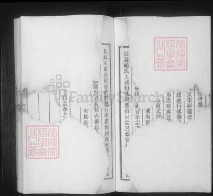 安徽省安庆市桐城市汪氏族谱-汪氏六修宗谱 [41卷,首末各1卷].pdf电子版预览图4