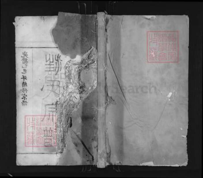 浙江省衢州常山县芳村镇汪氏尊亲堂族谱-汪氏宗谱.pdf电子版缩略图