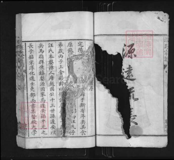 浙江省衢州常山县芳村镇汪氏尊亲堂族谱-汪氏宗谱.pdf电子版预览图1