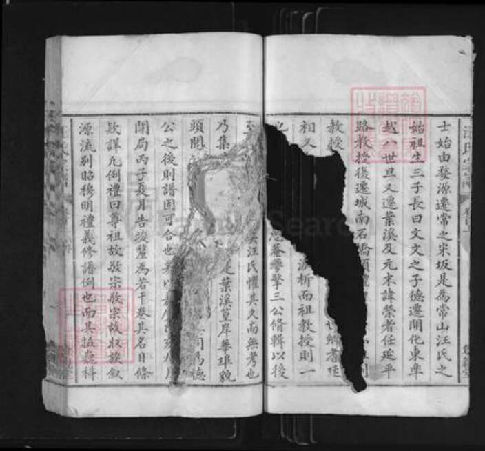 浙江省衢州常山县芳村镇汪氏尊亲堂族谱-汪氏宗谱.pdf电子版预览图2