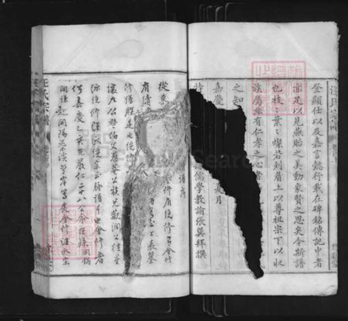 浙江省衢州常山县芳村镇汪氏尊亲堂族谱-汪氏宗谱.pdf电子版预览图3