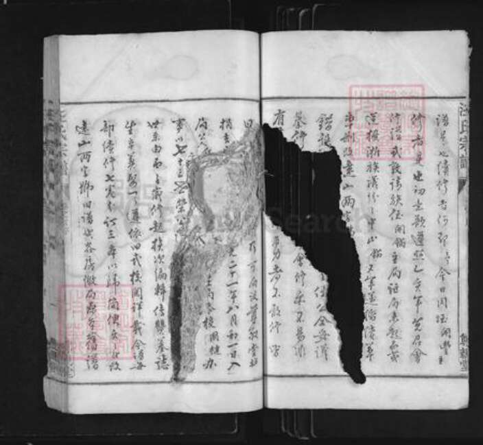 浙江省衢州常山县芳村镇汪氏尊亲堂族谱-汪氏宗谱.pdf电子版预览图4