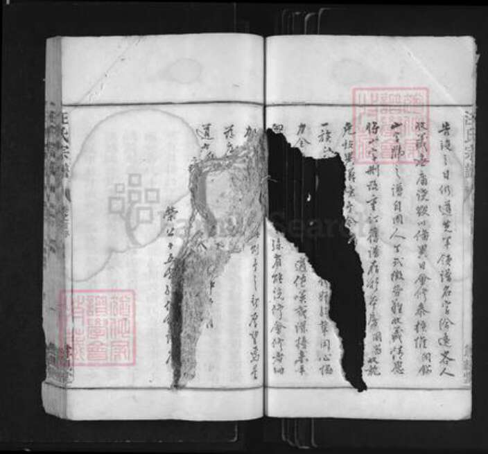 浙江省衢州常山县芳村镇汪氏尊亲堂族谱-汪氏宗谱.pdf电子版预览图5