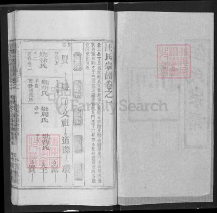 湖北省武汉市新洲区汪氏敦本堂族谱-汪氏宗谱.pdf电子版预览图1