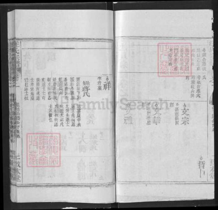 湖北省武汉市新洲区汪氏敦本堂族谱-汪氏宗谱.pdf电子版预览图2