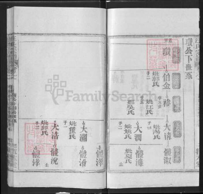 湖北省武汉市新洲区汪氏敦本堂族谱-汪氏宗谱.pdf电子版预览图3