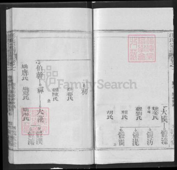 湖北省武汉市新洲区汪氏敦本堂族谱-汪氏宗谱.pdf电子版预览图4