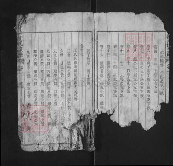 安徽省铜陵市枞阳县雨坛镇汪氏积庆堂族谱-汪氏宗谱.pdf电子版预览图2