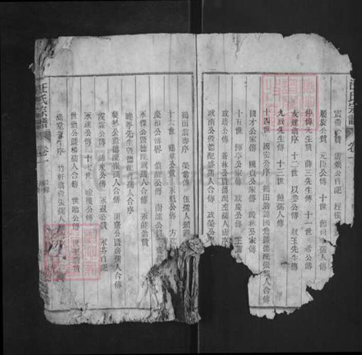 安徽省铜陵市枞阳县雨坛镇汪氏积庆堂族谱-汪氏宗谱.pdf电子版预览图3