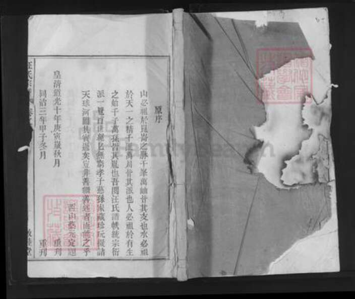 安徽省安庆市望江县长岭镇汪氏敦睦堂族谱-汪氏宗谱.pdf电子版缩略图