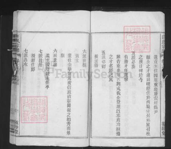 安徽省安庆市望江县长岭镇汪氏敦睦堂族谱-汪氏宗谱.pdf电子版预览图3