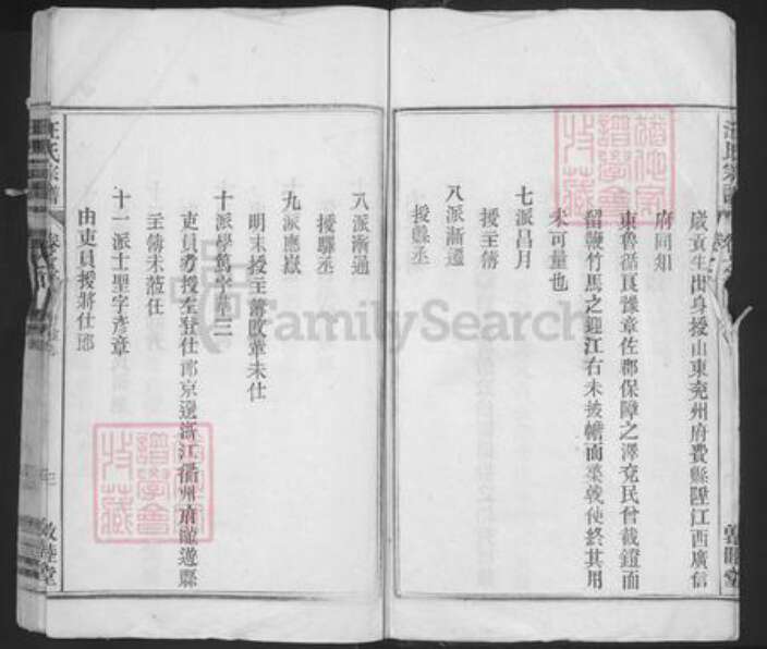 安徽省安庆市望江县长岭镇汪氏敦睦堂族谱-汪氏宗谱.pdf电子版预览图4