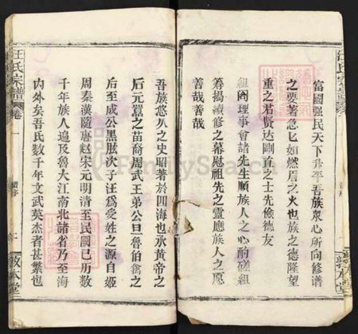 湖北省鄂州市汪氏敦本堂族谱-汪氏宗谱.pdf电子版预览图2