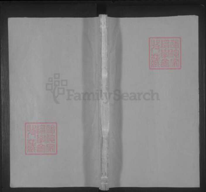 安徽省合肥市巢湖市王氏族谱-王氏宗谱 [28卷,首末各1卷].pdf电子版缩略图