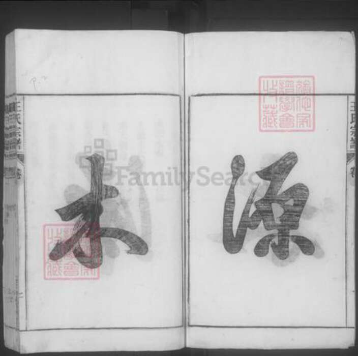 安徽省合肥市巢湖市王氏族谱-王氏宗谱 [28卷,首末各1卷].pdf电子版预览图2