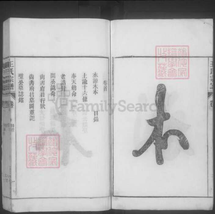 安徽省合肥市巢湖市王氏族谱-王氏宗谱 [28卷,首末各1卷].pdf电子版预览图3