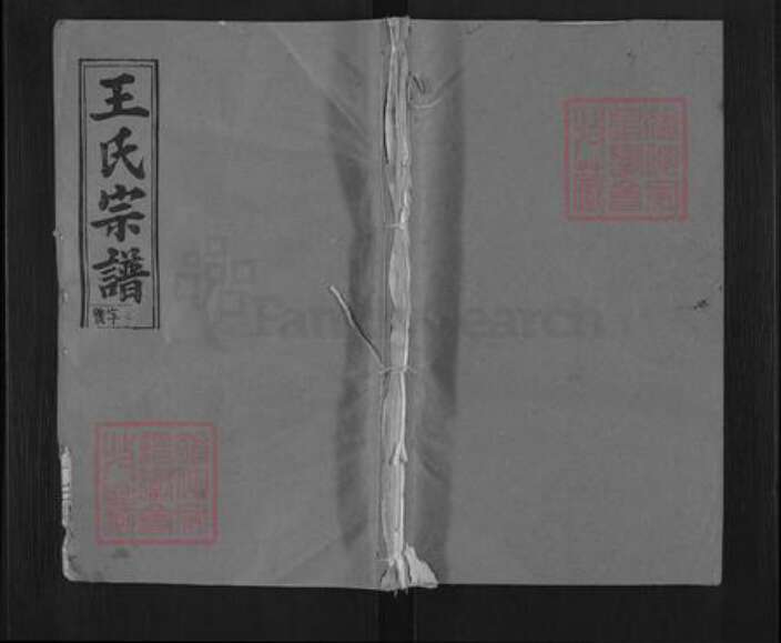 湖北省黄冈市武穴市王氏三槐堂族谱-王氏宗谱.pdf电子版缩略图